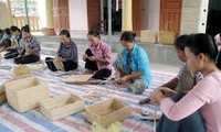 2016至2020年越南力争为550万农村劳动者提供职业培训