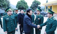 越南国家主席张晋创视察高平省