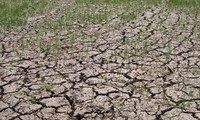 越南努力应对严重干旱