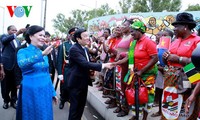 越南国家主席张晋创圆满结束对莫桑比克的访问