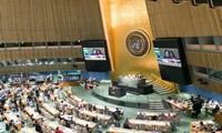 越南出席联合国第60届妇女地位委员会年会