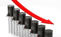 石油输出国组织及石油生产大国一致同意就稳定油价召开会议