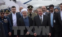 伊朗和巴基斯坦承诺推动多领域合作