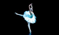 名为《巴黎芭蕾舞》的欧式芭蕾舞表演即将在河内举行