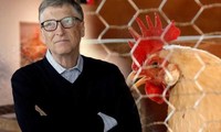 美国微软公司创始人比尔·盖茨向贫困者送鸡