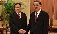 越南祖国阵线副主席兼秘书长陈青敏会见中国全国政协主席俞正声