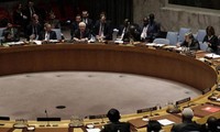联合国安理会通过决议 核可叙利亚停火协议