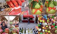 “2017年越南春节”商品展销会开幕