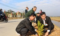 越南全国各地举行植树节