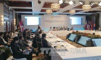 越南出席在菲律宾举行的东盟高官会