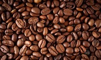 首次世界咖啡生产者论坛将在哥伦比亚举行