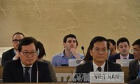 越南强调继续为关于保障人权的国际倡议做出积极贡献