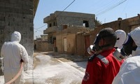 联合国：在伊拉克摩苏尔使用化学武器是战争罪行