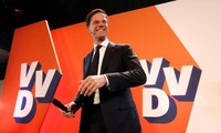 荷兰首相吕特的自由民主人民党获得国会相对多数席位