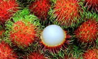 越南南部多种水果价格暴涨