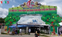 2017年美味安全果树和水果节在槟知省举行