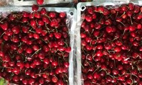 越南进口的中国樱桃价格较好