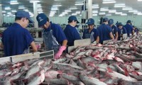 越南将于10月举行茶鱼及水产品交易会
