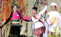 越南参加在罗马尼亚举行的2017年世界民间文化节