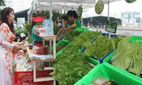 越南绿色和无公害农产品供求对接