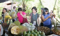 多场有关粮食和农产品的研讨会在芹苴市APEC粮食安全周期间举行