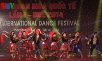  24个艺术团参加越南“2017年国际舞蹈节”