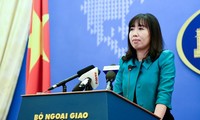  越南外交部更新墨西哥震后旅居当地越南人情况