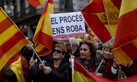 数十万人游行支持统一的西班牙