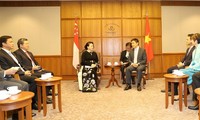 推动越南-新加坡战略伙伴关系顺利和有效发展