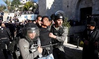  阿拉伯国家呼吁美国重审有关耶路撒冷的决定
