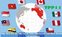 越南争占《全面且先进的跨太平洋伙伴关系协定》的先机