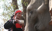 莫侬族的大象祭拜习俗