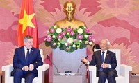 汪朱刘会见罗马尼亚-越南友好议员小组和美国-东盟商务委员会代表团