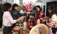 越南文化日在俄罗斯人民友谊大学举行  