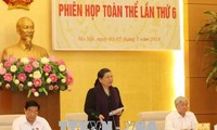 越南国会民族委员会第六次全体会议开幕