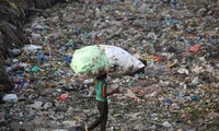 世界环境日：联合国呼吁严格控制塑料袋的使用