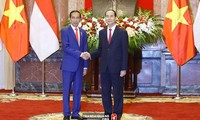 越南和印度尼西亚就加强战略伙伴关系发表联合声明