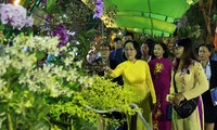 2019年己亥春节花卉节开幕