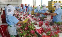 加强对接——越南农产品出口增长的钥匙