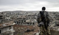 努力重建叙利亚