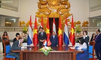 越南-荷兰同意将双边关系提升至全面伙伴关系 