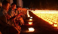 越南佛教教会与保护自然资源和生物多样性工作