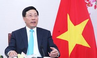 越南政府副总理兼外长范平明出席在日本举行的亚洲未来论坛