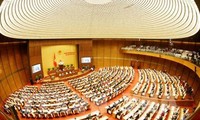 越南国会通过关于批准2017年国家财政预算决算和2020年法律法令建设计划的决议