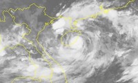 台风“韦帕”造成人员死亡和失踪  损失严重