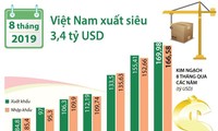 今年前8个月越南贸易顺差34亿美元