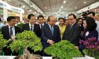 阮春福出席河内市新农村建设10年总结会议