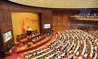 国会代表高度评价越南第14届国会第8次会议