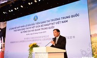 越南向中国出口第一批乳制品