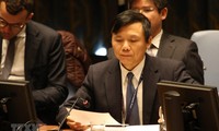 越南呼吁联安理会重新评估对南苏丹的制裁措施